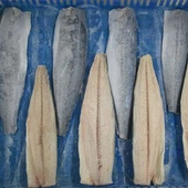 Filetto di sgombro del Pacifico